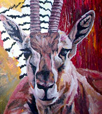 Gazelle
