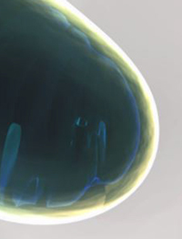 Artistic interpretation of a mitochondria