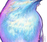 Rainbow Robin